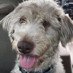 Meet your Posher, Luke